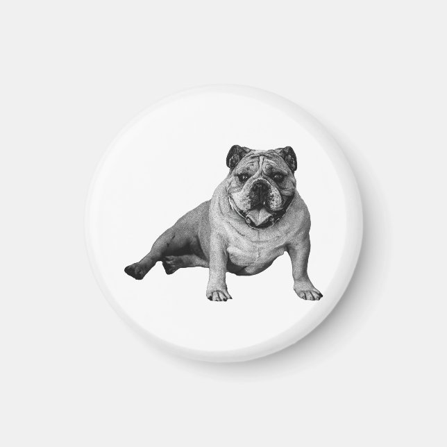 Aimant de réfrigérateur de vacances Bulldog (Devant)