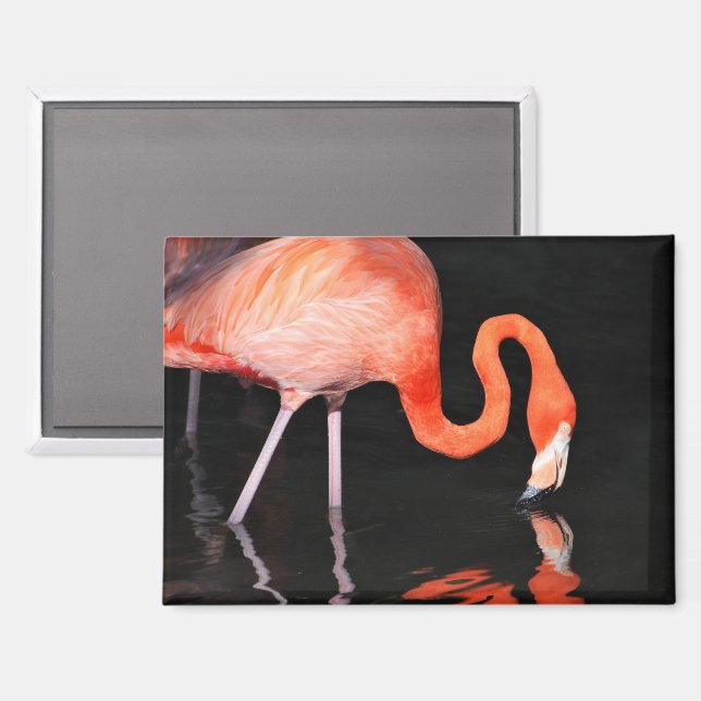 Aimant de réfrigérateur Flamant rose (Recto/Verso)
