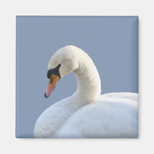 Aimant de réfrigération à cygne blanc (Devant)