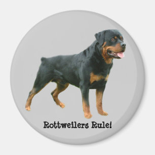 Aimant de règle de rottweilers