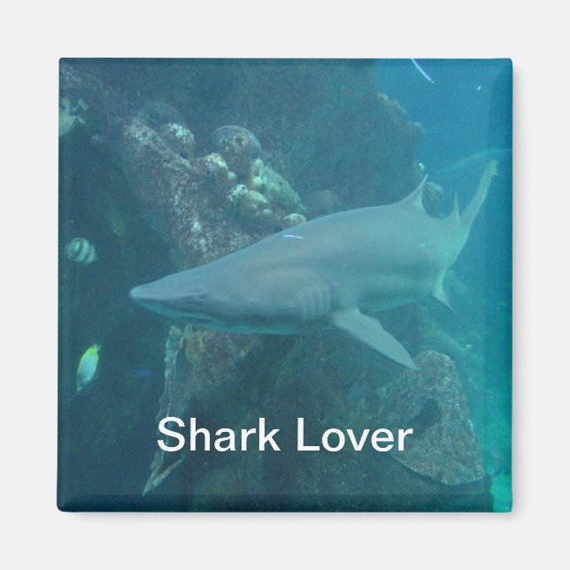 Aimant de requin (Devant)