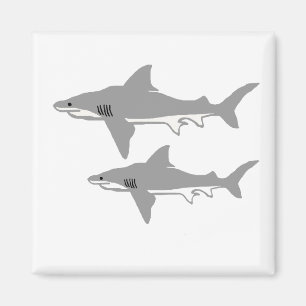 Aimant de requin de Taureau