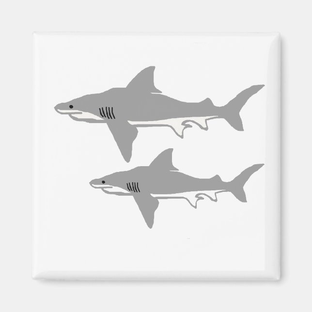Aimant de requin taureau (Devant)