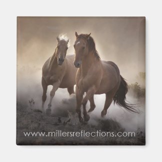 Aimant de résistance