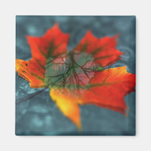 Aimant de rétroréflexion