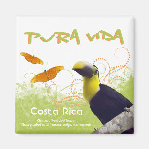 Aimant de Rican Pura Vida de côte