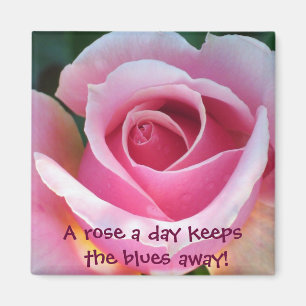Aimant de rose de rose