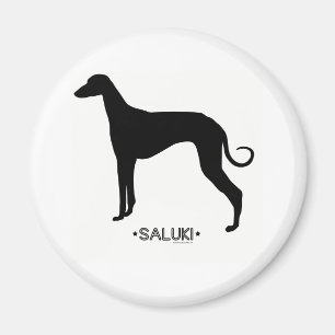 Aimant de Saluki