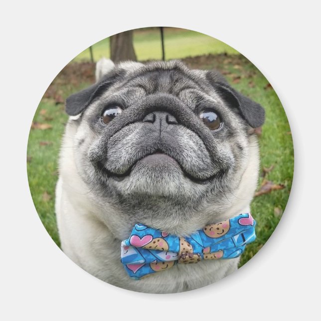 Aimant de sangles (Devant)