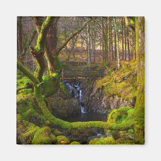 Aimant de scène de bois
