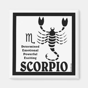 Aimant de Scorpion