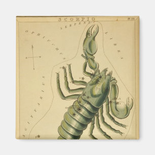 Aimant de scorpion