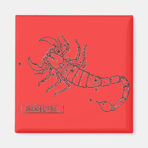 Aimant de scorpion