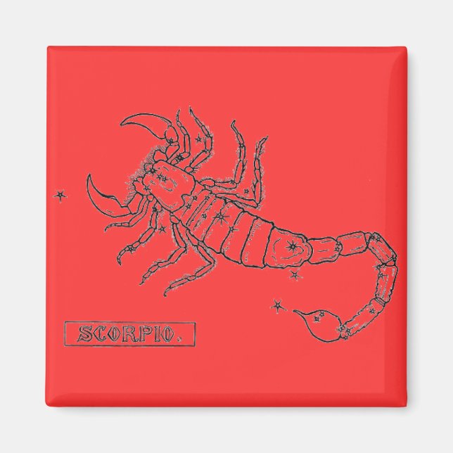 Aimant de scorpion (Devant)