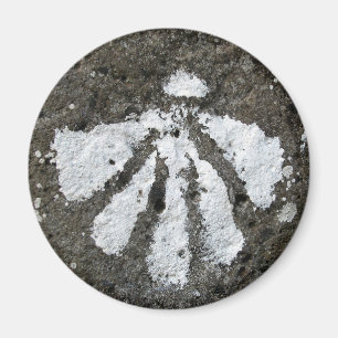 Aimant de Shell de feston