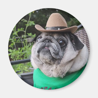 Aimant de sicles fermiers