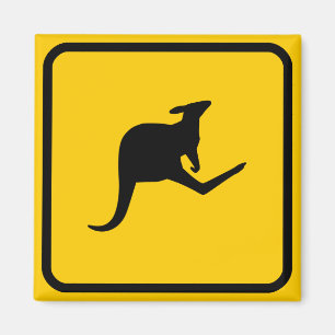 Aimant de signalisation Roo Xing