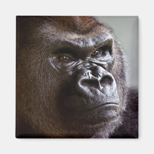 Aimant de Silverback de gorille