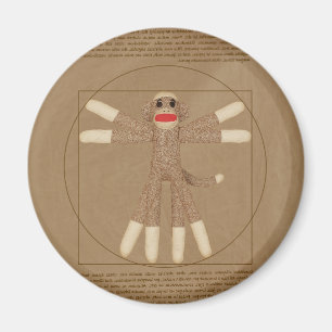 Aimant de singe de Vitruvian