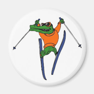 aimant de ski