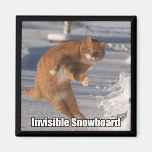 aimant de snowboard invisible