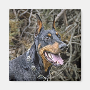 Aimant de sourire de dobermann