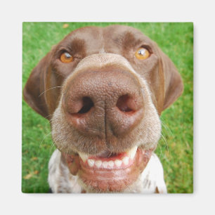 Aimant de sourire de système de préférences