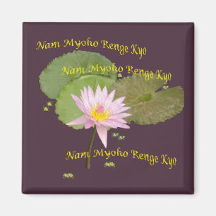 Aimant de Swaaj NMRK