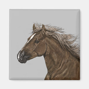 Aimant de tête de cheval Brown