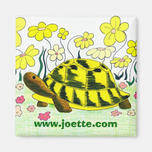 Aimant de tortue