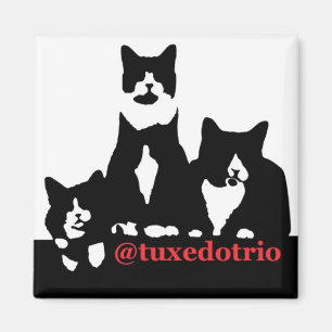 Aimant de TuxedoTrio