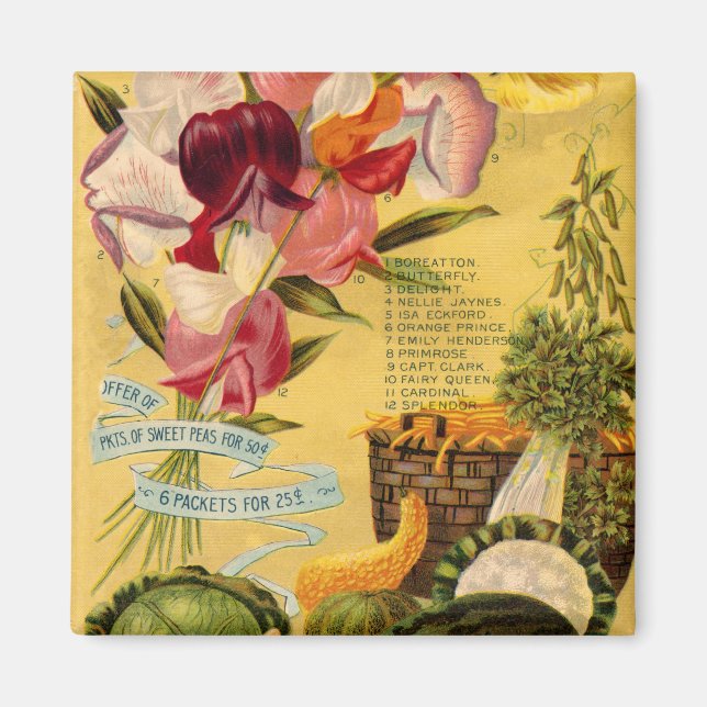 Aimant de variété de graines (Devant)