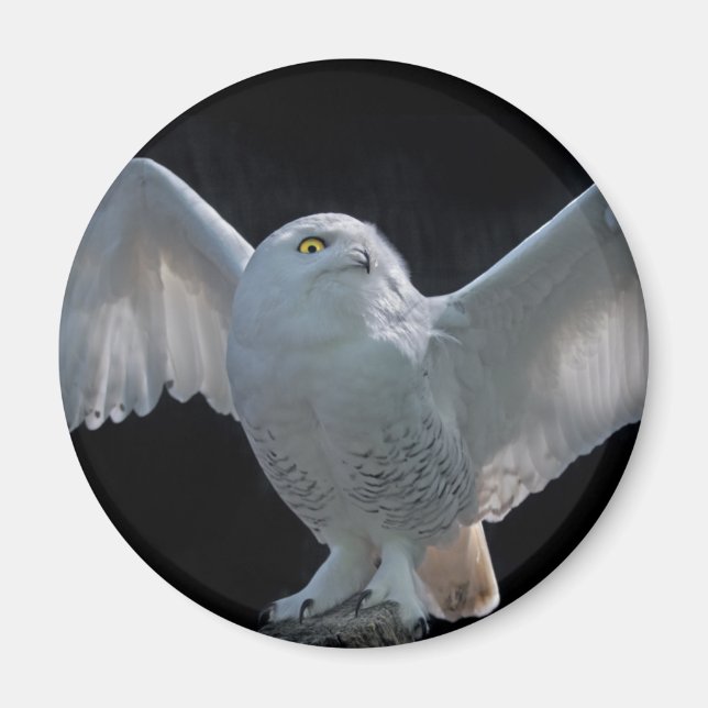 Aimant de vérification avant vol (Devant)