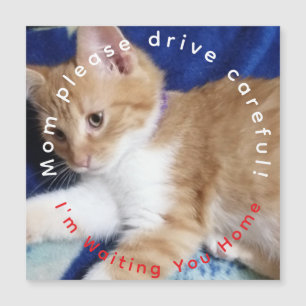 aimant de voiture humour chat roux photo texte Mam