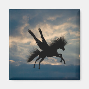 Aimant de vol du soir