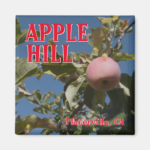 Aimant de voyage de Placerville de colline d'Apple