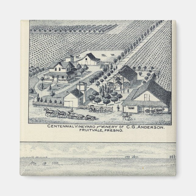 Aimant Deardorff et Centennial Vineyards, Californie (Devant)