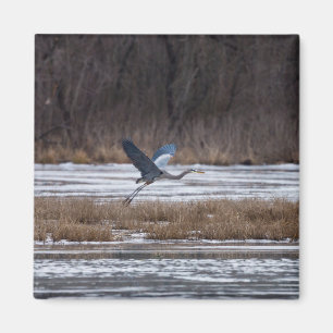 Aimant Décollage d'Heron