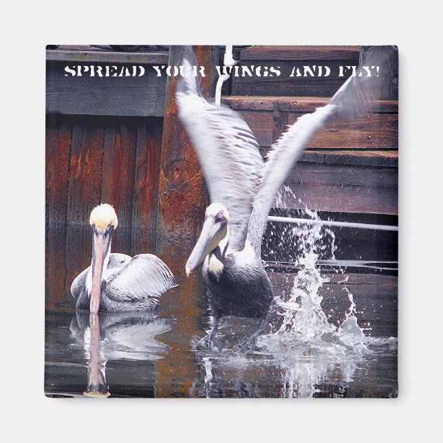 Aimant Décollage du pélican (Devant)