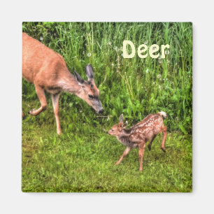 Aimant Deer Doe & Fawn Faune Animal Design