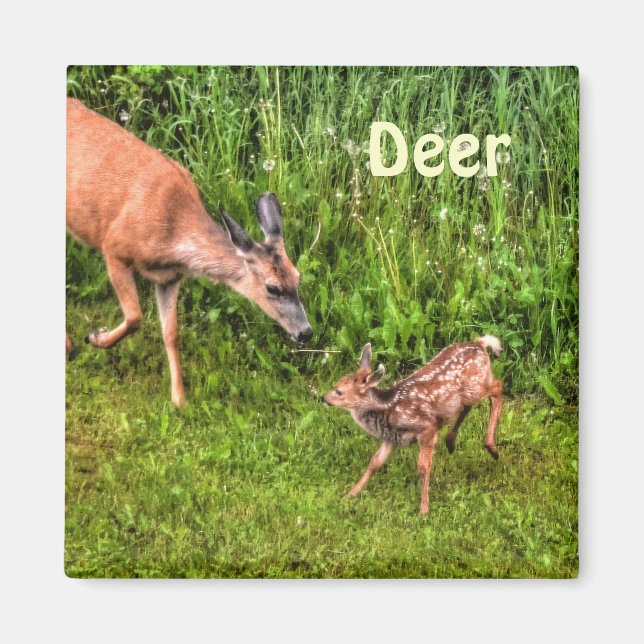 Aimant Deer Doe & Fawn Faune Animal Design (Devant)