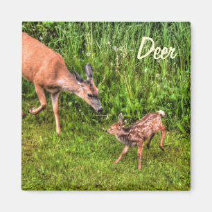 Aimant Deer Doe & Fawn Faune Animal Design