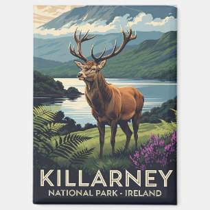 Aimant Deer in Killarney National Park Irlande Travel
