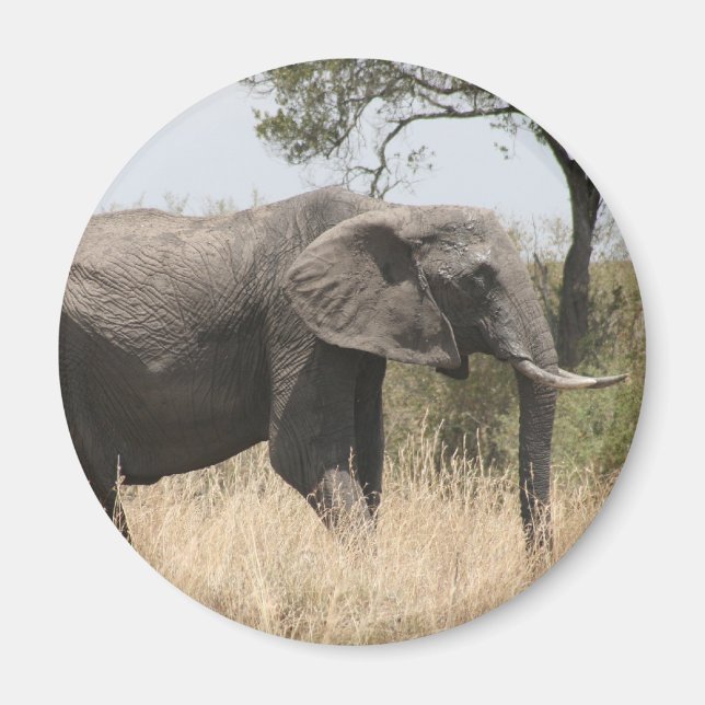 Aimant défenseur des éléphants (Devant)