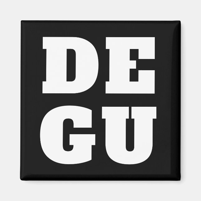 AIMANT ⊿DEGU⊿ (Devant)