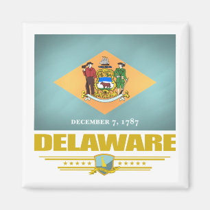 Aimant Delaware (SP)