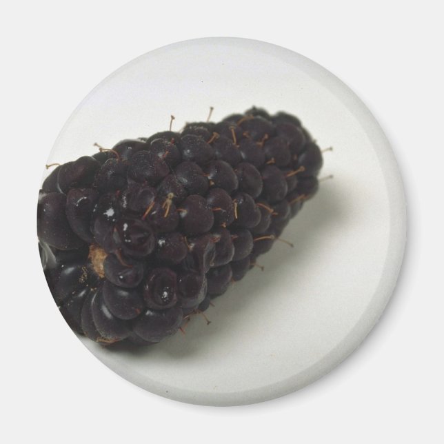 Aimant Délicieux Blackberry (Devant)