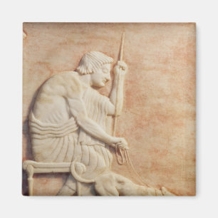 Aimant Délivrance animale