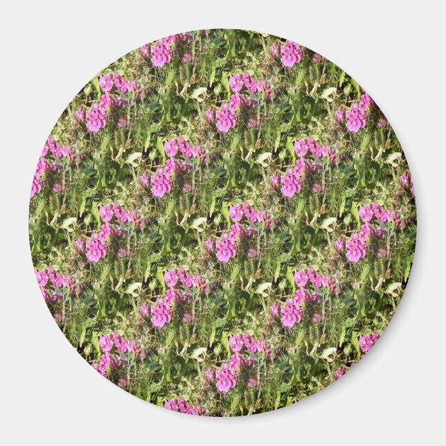 Aimant Dentelle de pois doux..... (Devant)