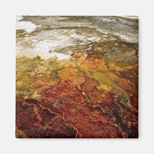 Aimant Dépôts minéraux multicolores en Yellowstone (Devant)